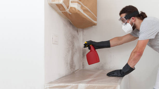 Professional Bathroom Mold Removal technician working in Ramsey, MN