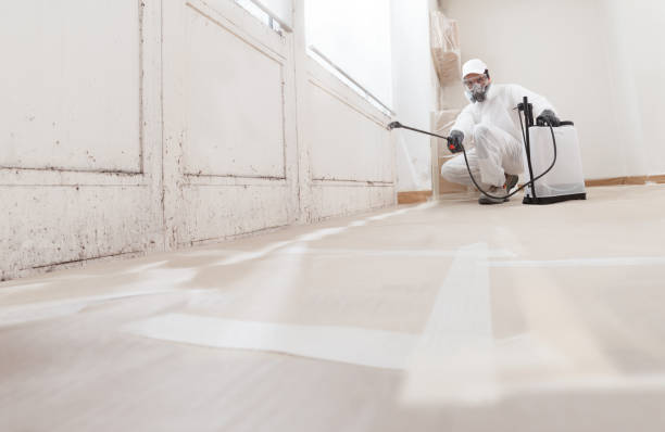 24/7 Emergency Bathroom Mold Removal experts in Ramsey, MN