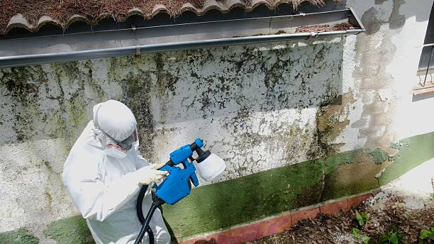 Top rated local Bathroom Mold Removal specialists in Ramsey, MN